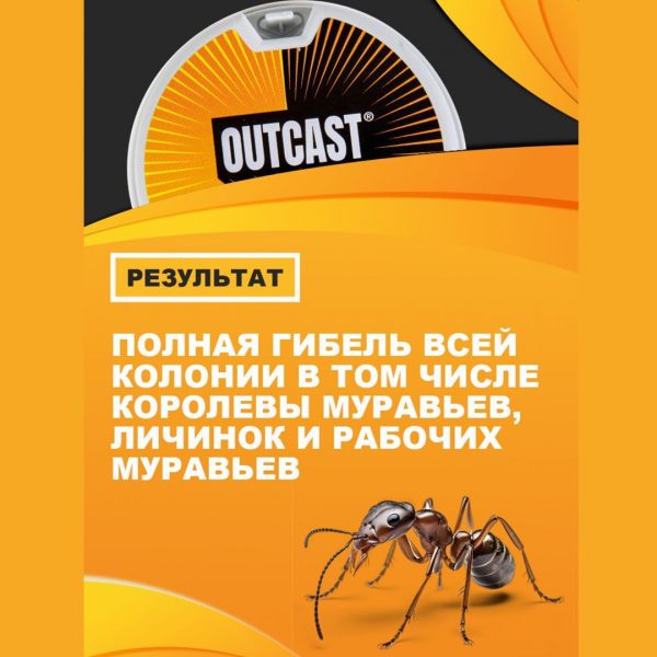 Ловушка от муравьев OUTCAST