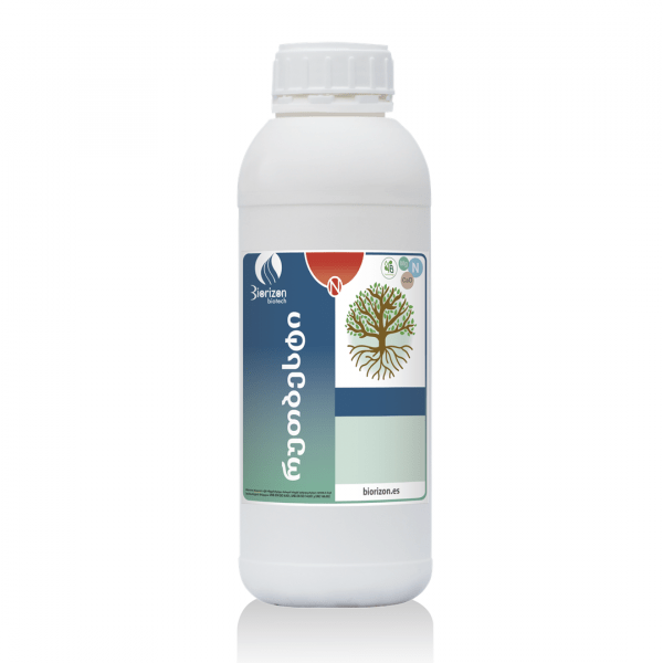Rootbest