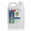 Rootbest