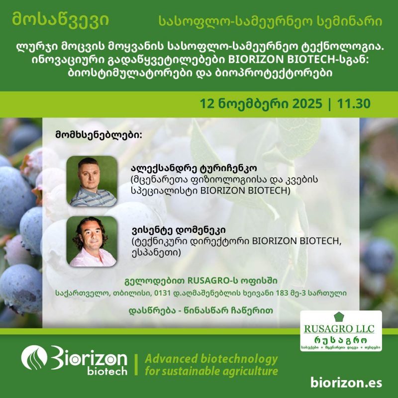 Агротехнология выращивания голубики